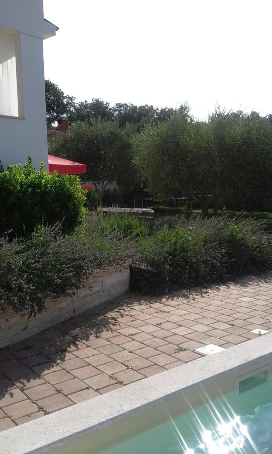 ברבריגה Jurman Apartment מראה חיצוני תמונה